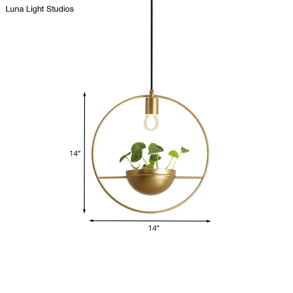 Gold Circular Iron 1-Head Pendant Light Fixture - Elegant Dining Room Plant Lighting