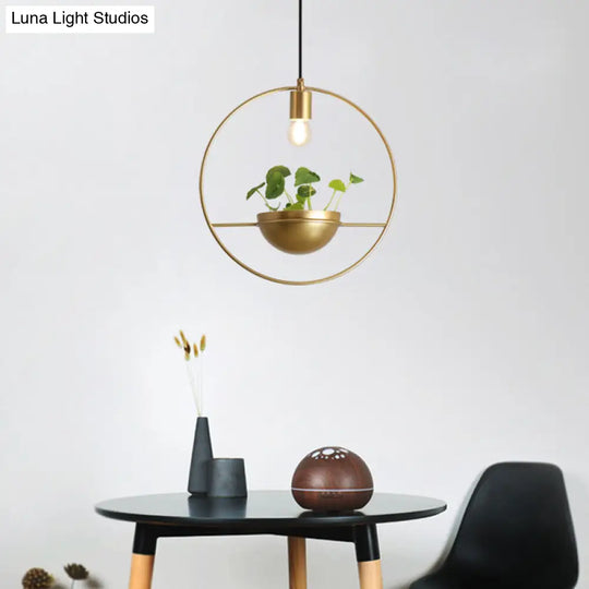 Modern Gold Iron Hanging Light Fixture: 1-Head Pendant Lighting For Dining Room Or Plants