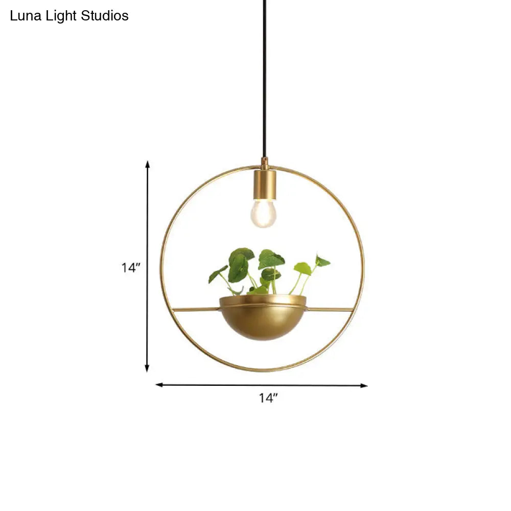 Modern Gold Iron Hanging Light Fixture: 1-Head Pendant Lighting For Dining Room Or Plants