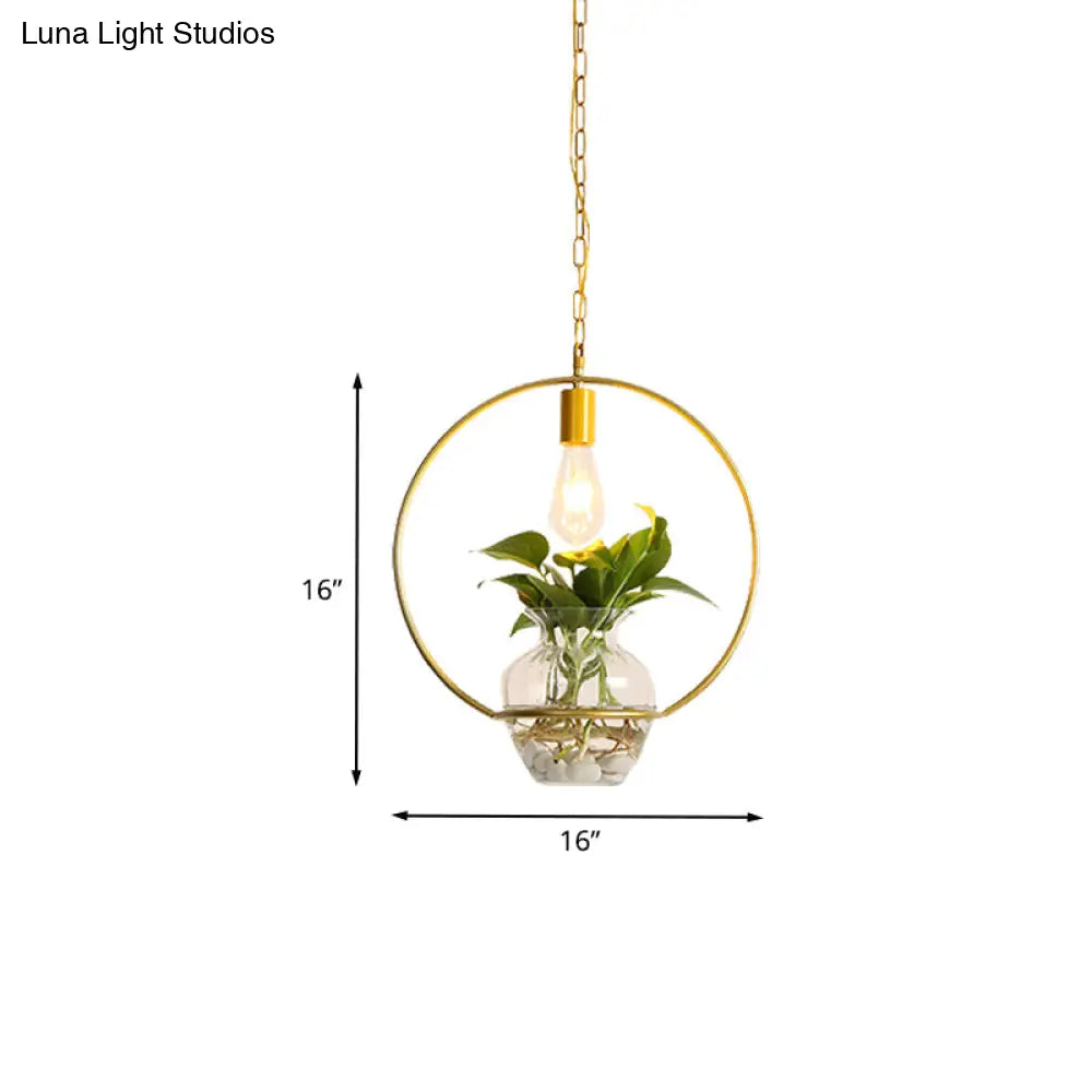 Golden Vintage Pendant Light With 1 Bulb And Potted Plant For Living Room