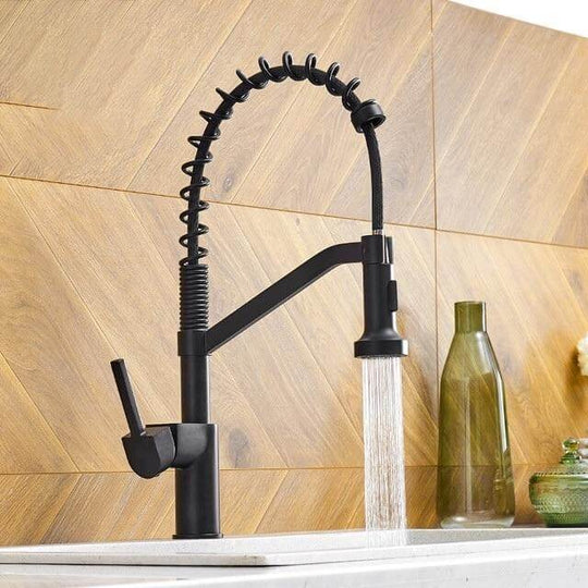 HydroBliss - Signature Spring Kitchen Faucet
