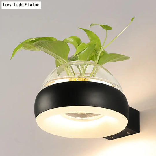 Industrial Clear Glass Dome Wall Sconce With Led Lighting And Plant Container In Black/Grey/White