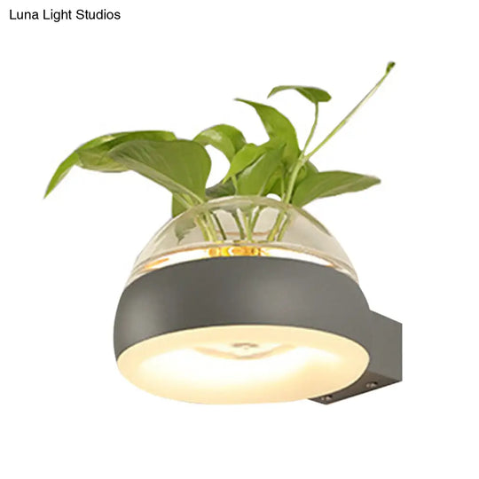 Industrial Clear Glass Dome Wall Sconce With Led Lighting And Plant Container In Black/Grey/White