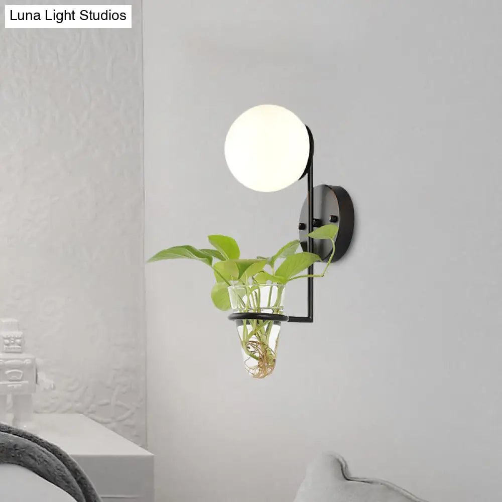 Industrial Global Cream/Smoke Gray Glass Wall Sconce Lamp With Clear Plant Cup - Black/Gold Finish