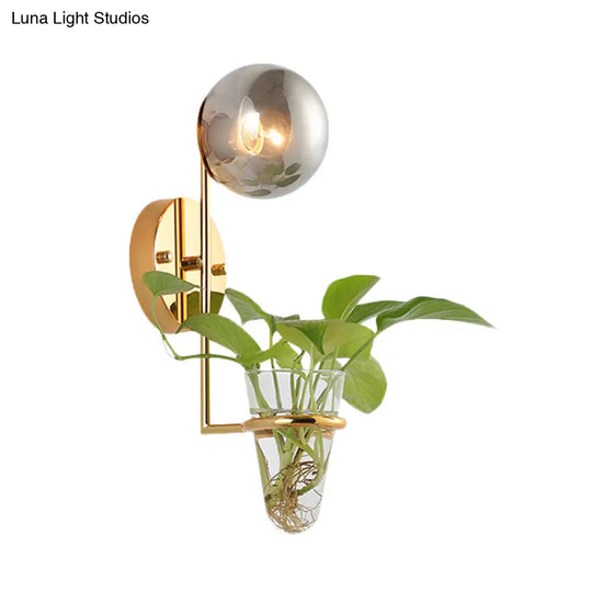 Industrial Global Cream/Smoke Gray Glass Wall Sconce Lamp With Clear Plant Cup - Black/Gold Finish