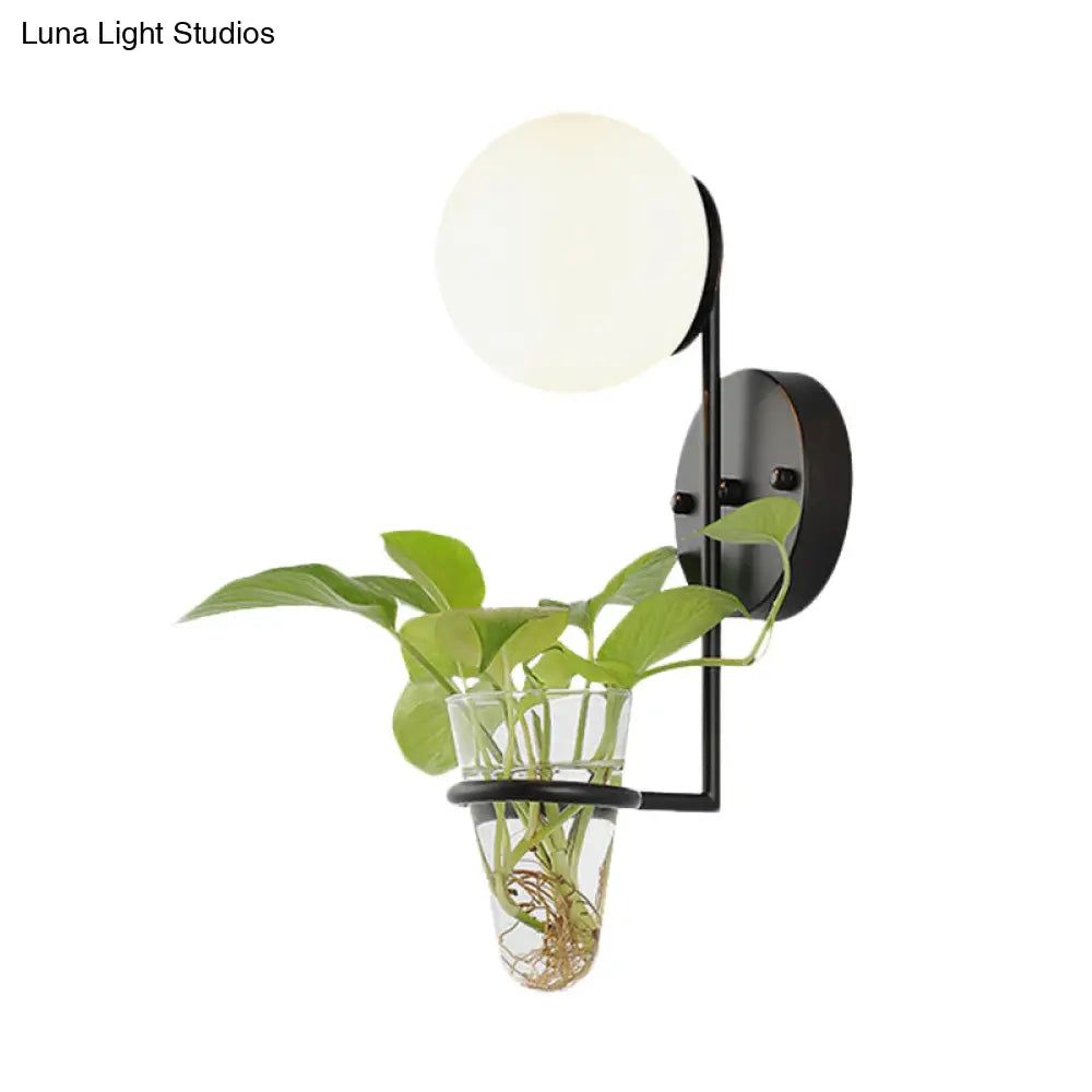 Industrial Global Cream/Smoke Gray Glass Wall Sconce Lamp With Clear Plant Cup - Black/Gold Finish