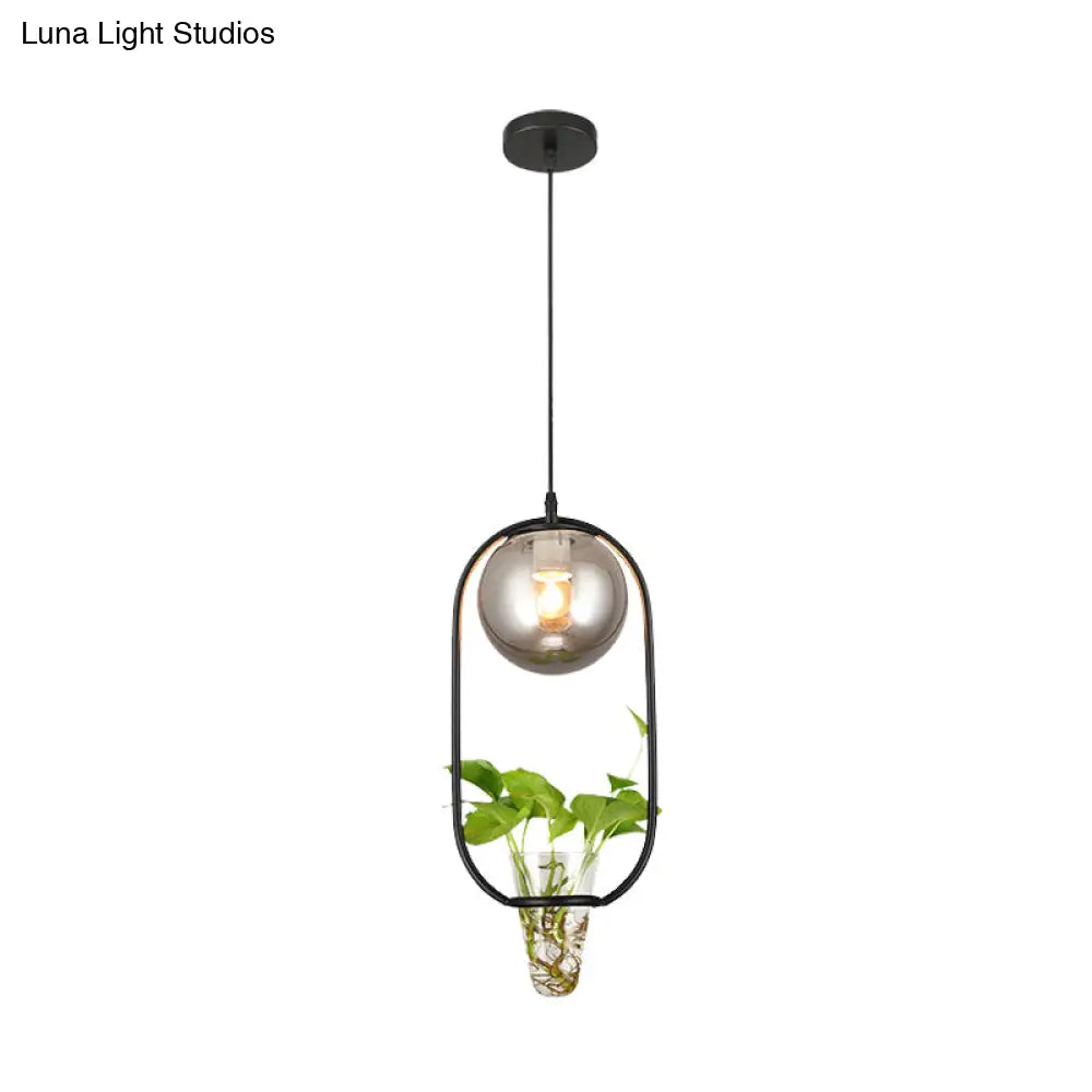 Industrial Smoke Gray Glass Pendant Lamp With Oval Cage And Plant Cup’ - One-Bulb Ceiling Light