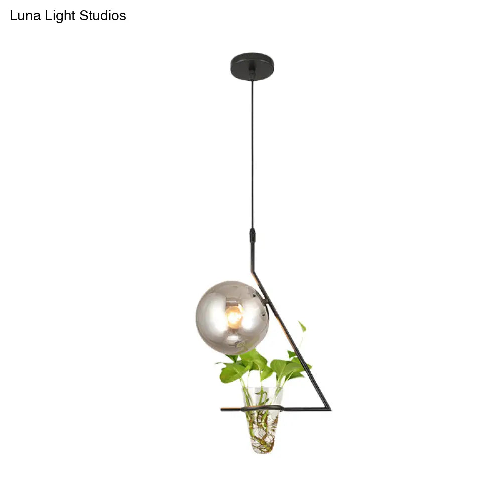 Industrial Smoke Gray Glass Sphere Bedroom Suspension Light With Plant Cup