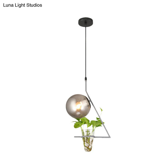 Industrial Smoke Gray Glass Sphere Bedroom Suspension Light With Plant Cup