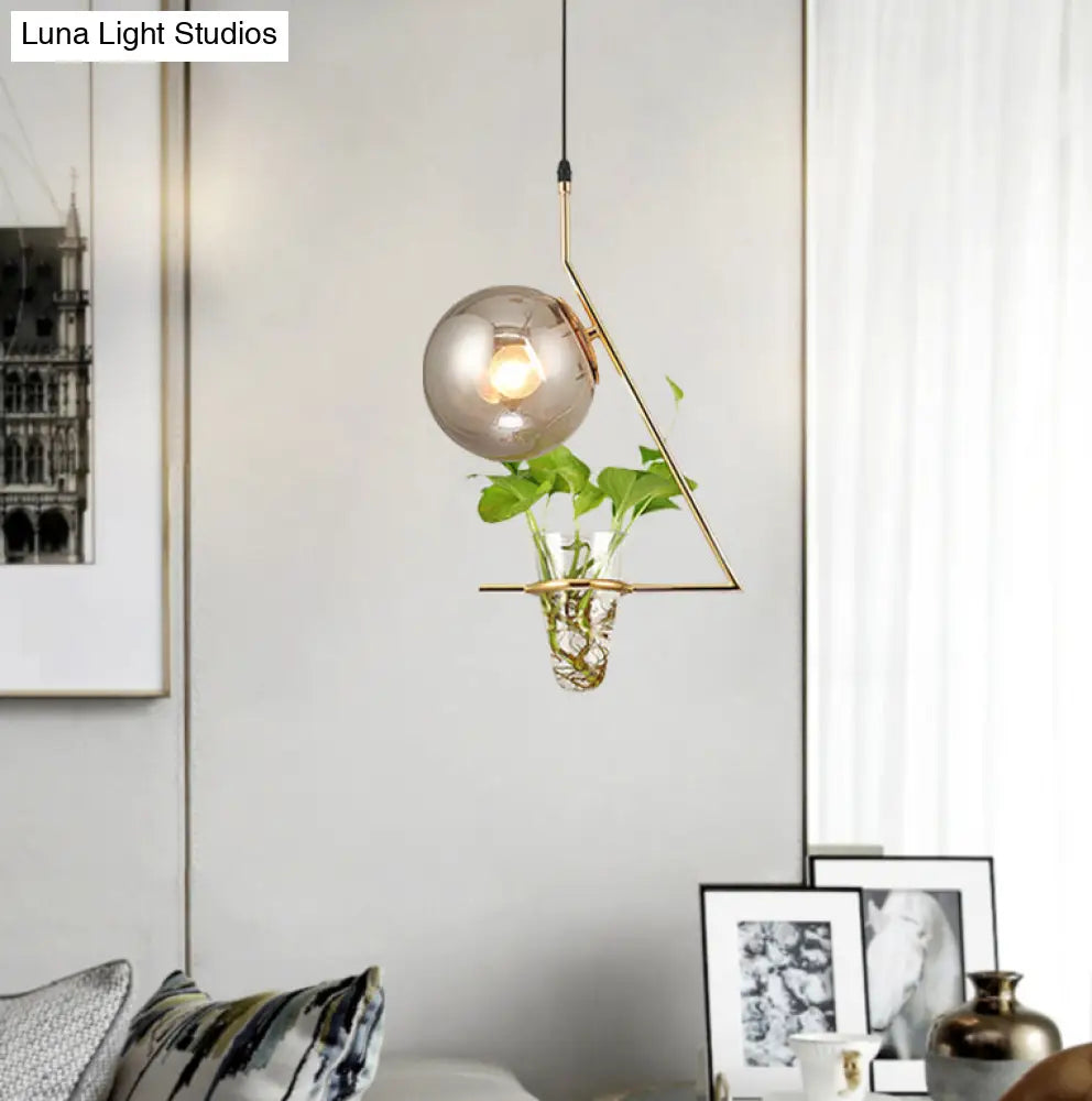 Industrial Smoke Gray Glass Sphere Bedroom Suspension Light With Plant Cup