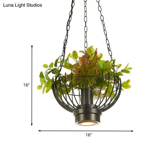 Iron Cage Pendant Lamp With Plant - Farmhouse Style Restaurant Light Fixture In Black