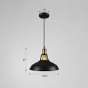 Iron Hanging Pendant Light Fixture For Restaurants - Single Ceiling Pot Cover Lamp Black / 10.5