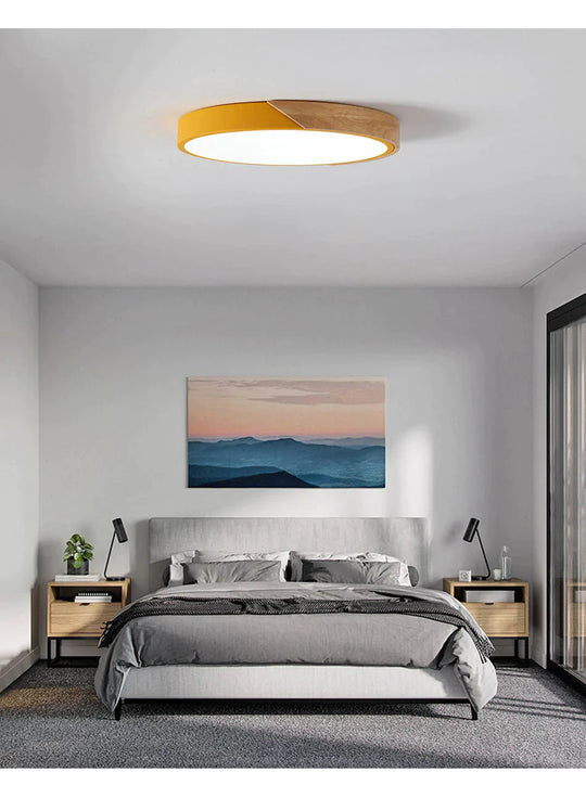 Jaiden -Modern LED Ceiling Light Surface Mount Flush Lamp Indoor Lighting Fixture Living Room Bedroom Kitchen Remote Control Dimmable