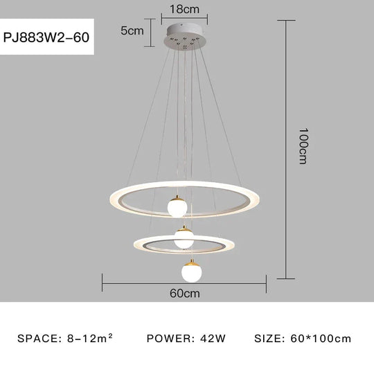 Laya - Minimalist Led Ring Pendant Light Pj883W2-60 / Ac80-265V Brightness Dimmable