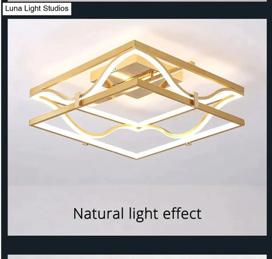 Led Ceiling Lights Gold Body Round/Square For Bedroom Support Remote Control Led Lamps