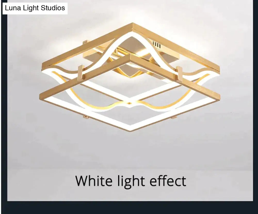 Led Ceiling Lights Gold Body Round/Square For Bedroom Support Remote Control Led Lamps