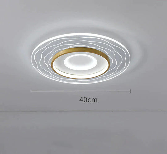 LED Modern Simple Circular Square Bedroom Dining Room Ceiling Lamp