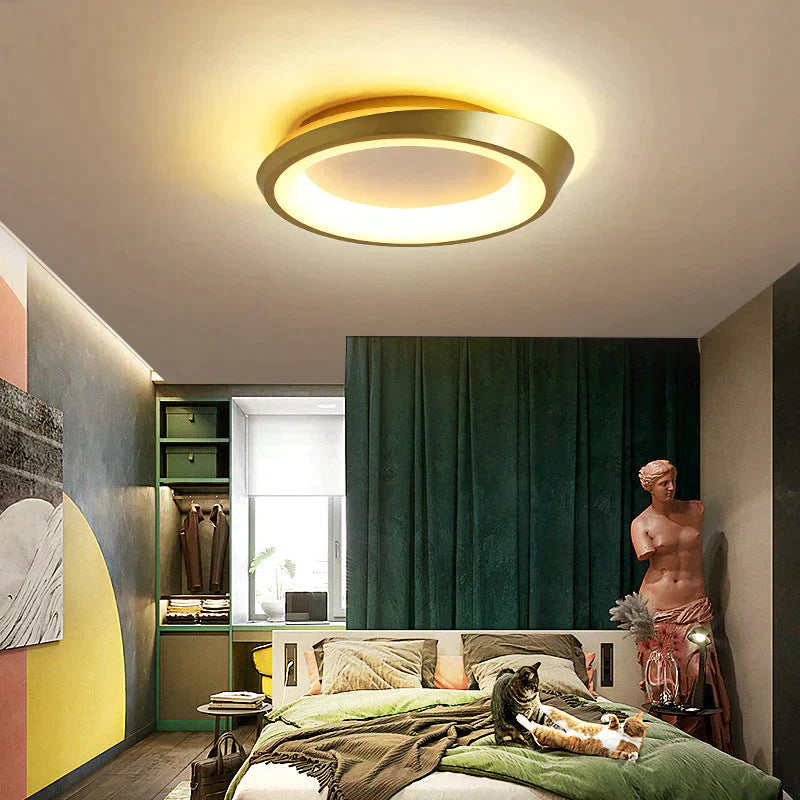Light In The Bedroom Simple Modern Led Ceiling Lamp Room Lighting Creative Master Living Lamps Gold