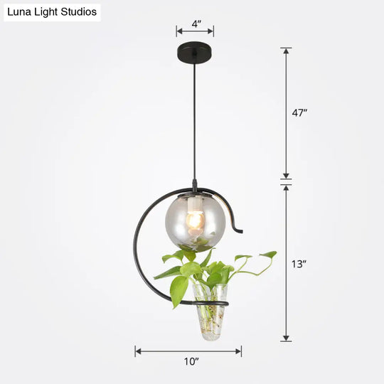 Hanging Glass Ball Restaurant Pendant Light With Cone Plant Container