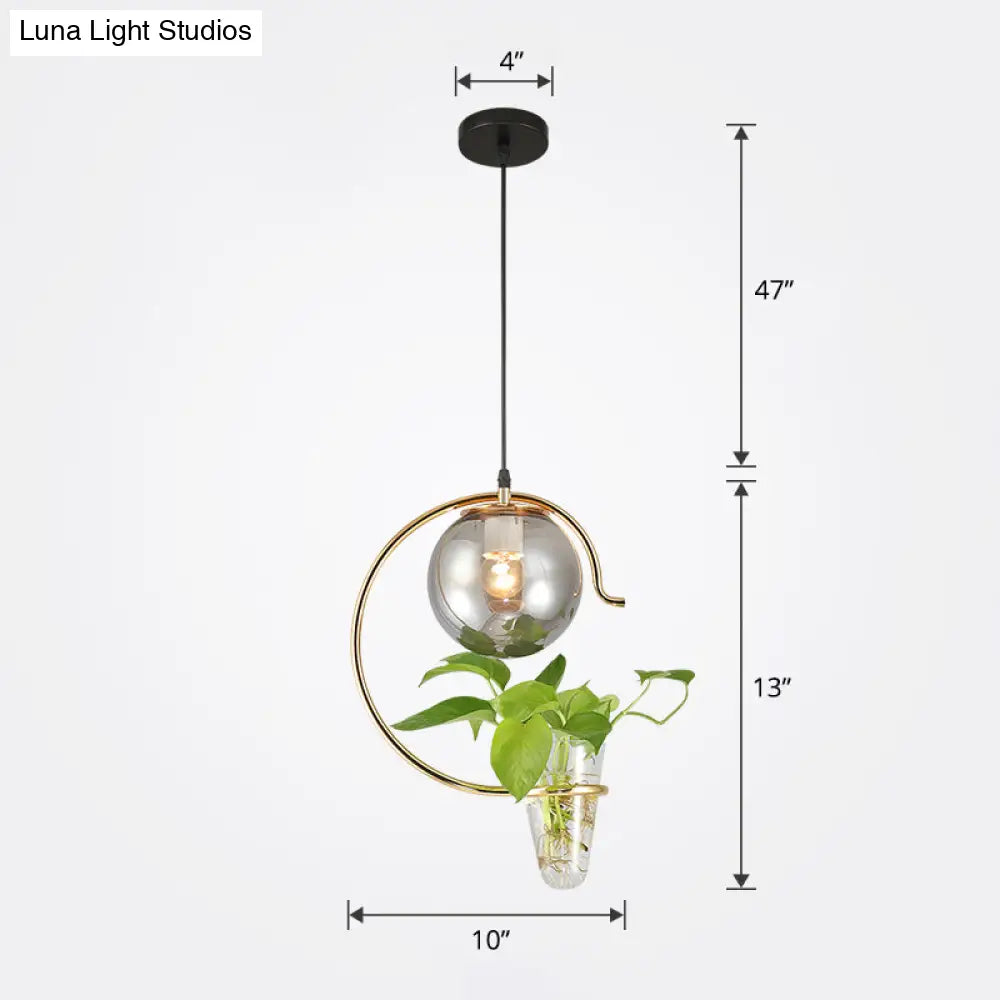 Loft Glass 1-Light Ball Restaurant Hanging Light With Cone Plant Container