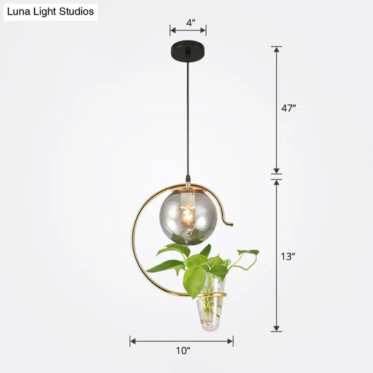 Loft Glass 1-Light Ball Restaurant Hanging Light With Cone Plant Container