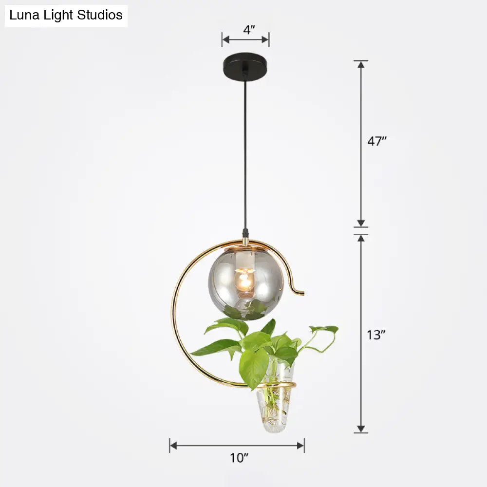 Hanging Glass Ball Restaurant Pendant Light With Cone Plant Container