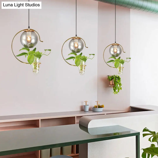 Hanging Glass Ball Restaurant Pendant Light With Cone Plant Container Gold