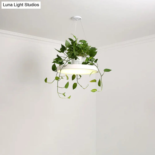 Macaron Round Hanging Light Acrylic Led Pendant Lighting Fixture In Black/Grey/White With Top Plant