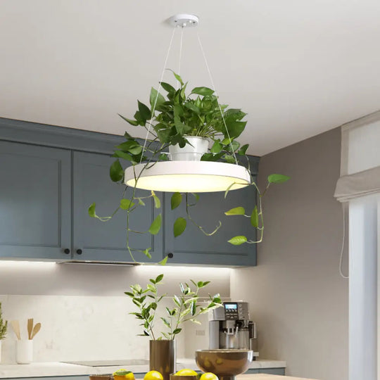 Macaron Round Hanging Light Acrylic Led Pendant Lighting Fixture In Black/Grey/White With Top Plant