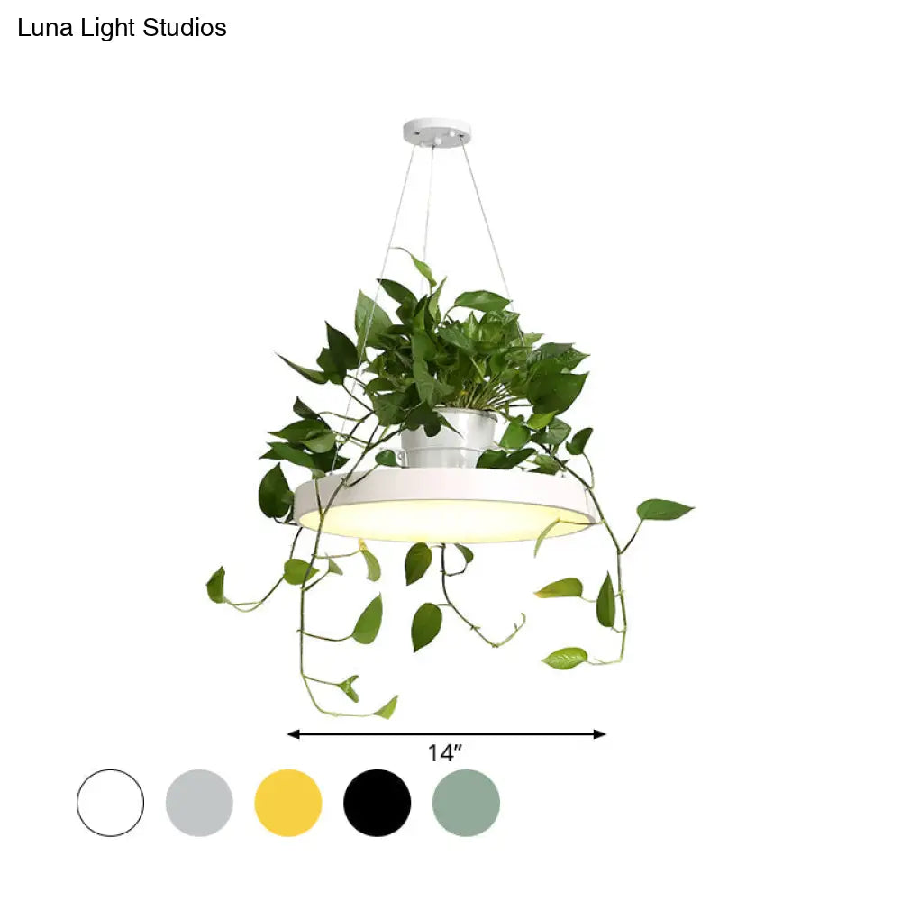 Macaron Round Hanging Light Acrylic Led Pendant Lighting Fixture In Black/Grey/White With Top Plant