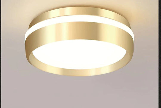 Mara-Modern Minimalist Gateway Round Gold Led Small Ceiling Lamp