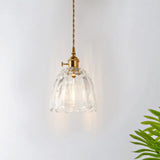 Menkent - Vintage Shaded Pendant Light: 1-Light Clear Glass Hanging Fixture For / I