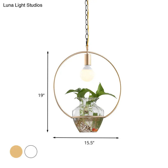 Metal Ceiling Light - Antique White/Gold Round Led Pendant With Plant Can Decoration