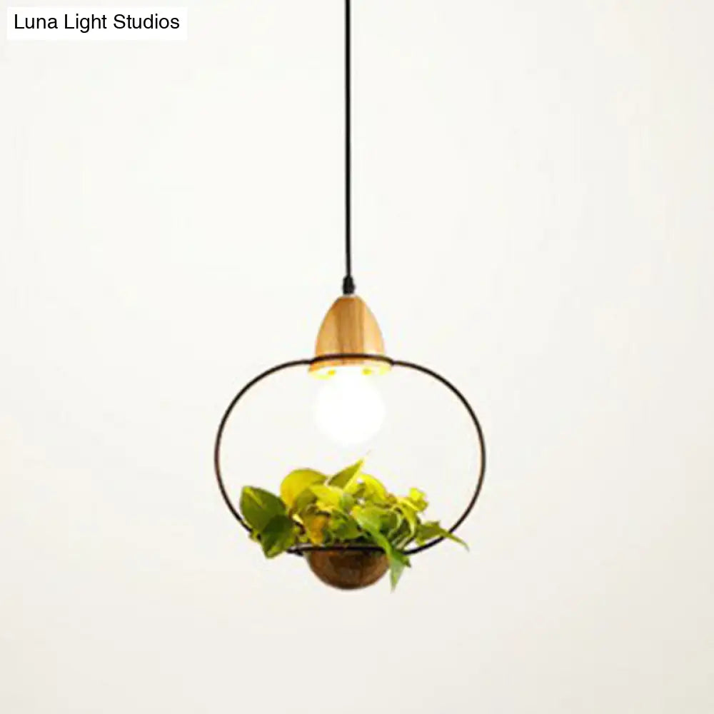 Industrial Metal Pendant Light With Hanging Plant Pot For Dining Room Decor Black / Oval