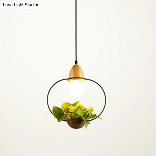 Industrial Metal Pendant Light With Hanging Plant Pot For Dining Room Decor Black / Oval