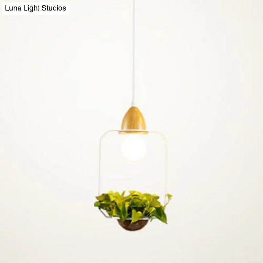 Industrial Metal Pendant Light With Hanging Plant Pot For Dining Room Decor White / Rectangle