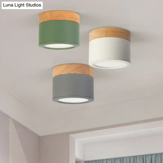 Metallic Led Flush Mount Macaron Ceiling Light For Bedroom