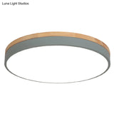 Minimalistic Flush Mount Ceiling Light - 1 Acrylic Disk Design Green / 16 White