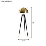 Modern Black Metal Floor Lamp With Unique Linear Capsule Arch Design For Living Room