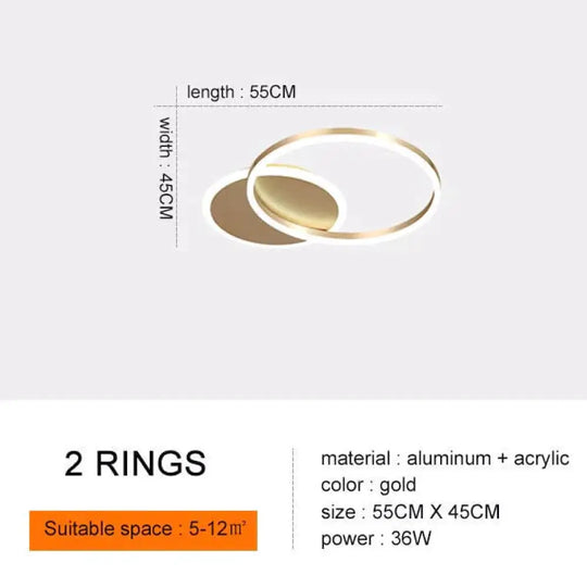 Modern Ceiling Lights For Living Room Circle Gold Brown Led Plafon Decor Bedroom Lamps Fixture With