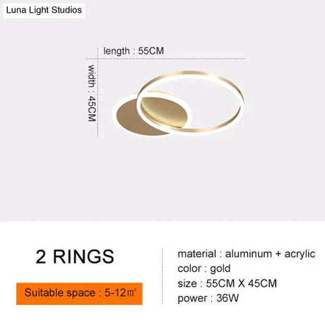 Modern Ceiling Lights For Living Room Circle Gold Brown Led Plafon Decor Bedroom Lamps Fixture With