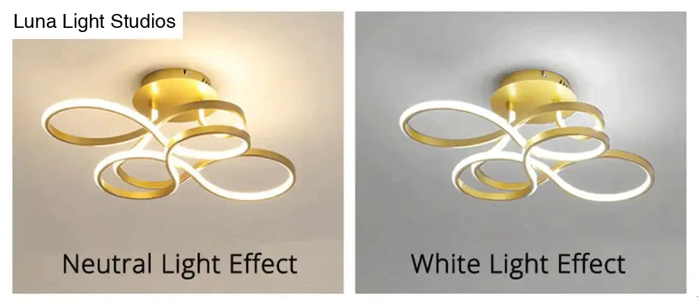 Modern Ceiling Lights White/Gold/Coffee Color Led Lamp For Living Room Bed Study Surface Mounted