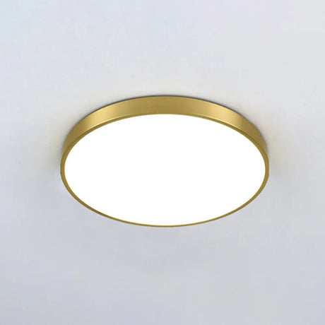 Modern Gold Metal Led Flush Mount Ceiling Lamp For Bedroom Lighting / 12