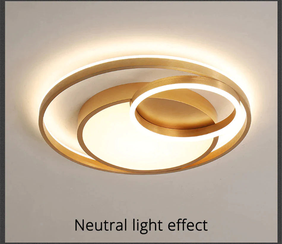 Modern Golden Round LED Ceiling Lamps Living Room Bedroom Dimmable Remote Control Acrylic Light Indoor Lighting