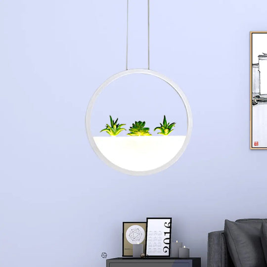 Modern Led Circular Bedside Pendant Ceiling Lamp With Plant Decor And White/Warm Light White /