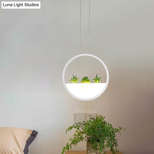 Modern Led Circular Bedside Pendant Ceiling Lamp With Plant Decor And White/Warm Light