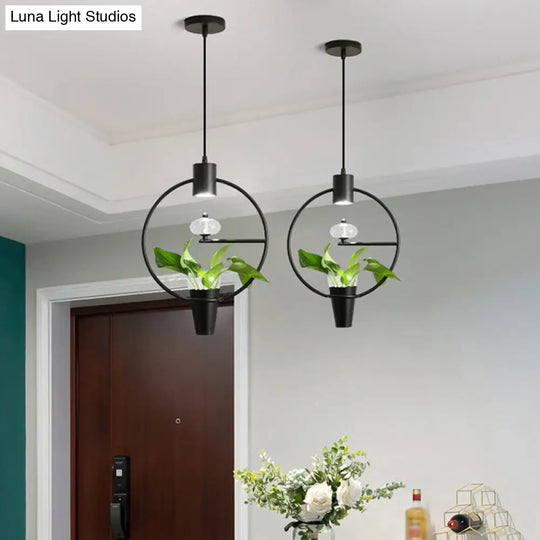 Modern Metal Led Pendant Light With Plant Container - Black/Gold Finish Black / Round