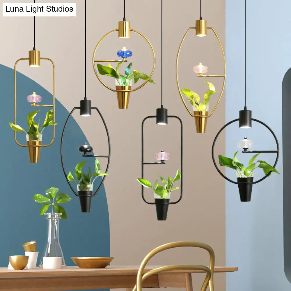 Modern Metal Led Pendant Light With Plant Container - Black/Gold Finish