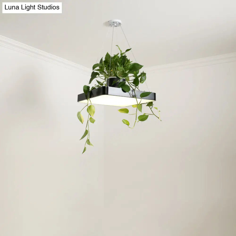 Modern Square Led Pendant Lamp With Plant Container - Nordic Acrylic Black/White/Blue 16’/19.5’ W