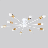 Modern Unique Novelty Painted Ceiling Lamps E27 Led 2 Styles Lights For Living Room Bedroom